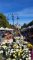 Excursie_tematica_23
