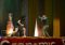 Balul Bobocilor 2015 Colegiul Economic Dimitrie Cantemir Suceava (13)