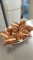 IMG-20231221-WA0014