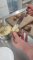 IMG-20231221-WA0017
