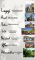Activitate_educationala_in_aer_liber__Descoperirea_obiectivelor_turisticedinRomania_12