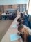 CEDCSV Expres spre SUCCES  (12)
