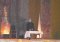Balul Bobocilor 2015 Colegiul Economic Dimitrie Cantemir Suceava (26)