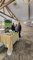 Business_Plan_9